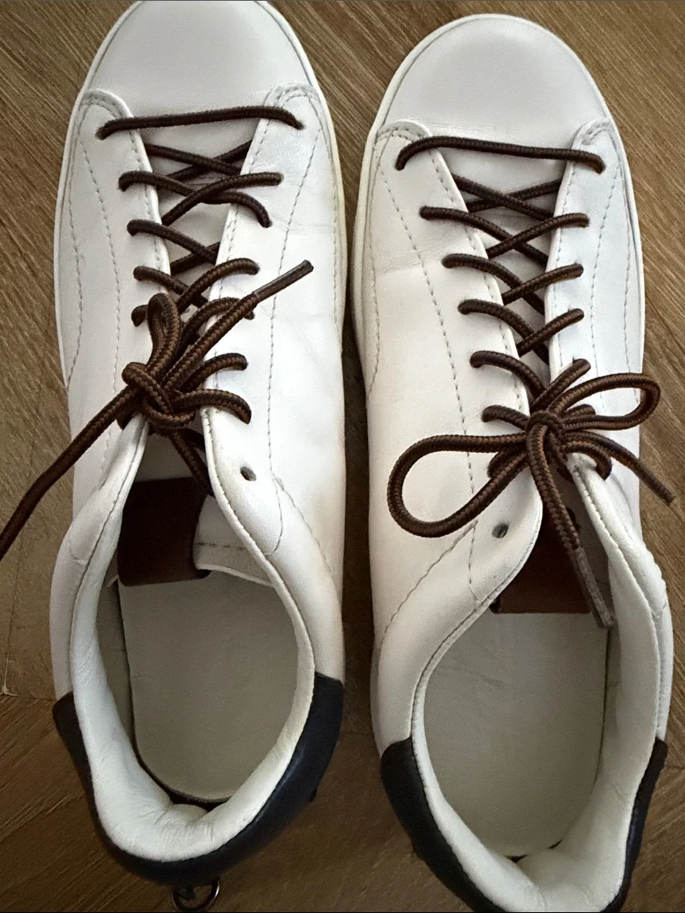 Coach low top sneakers